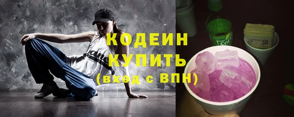 гашик Осинники