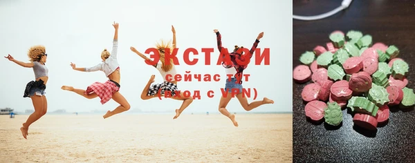 гашик Осинники