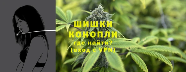 гашик Осинники