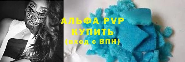 индика Гусиноозёрск