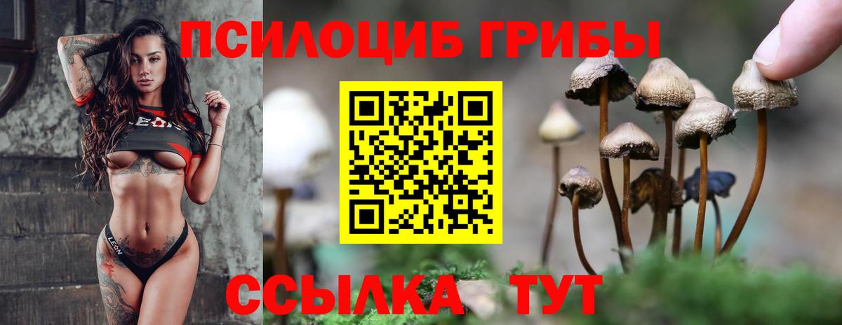 Югорск  Галлюциногенные грибы прущие грибы  Псилоцибиновые грибы MAGIC MUSHROOMS  Вход с VPN 
